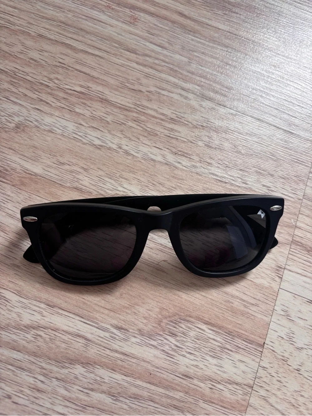 William Painter Titanium hook sunglasses